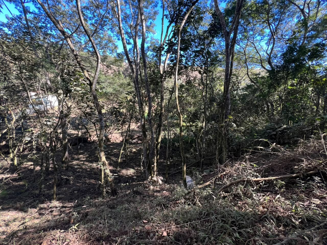Chácara para venda em Dom Viçoso MG