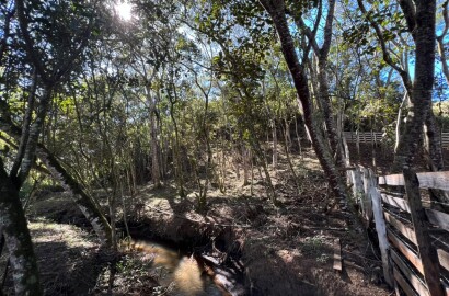 Chácara para venda em Dom Viçoso MG