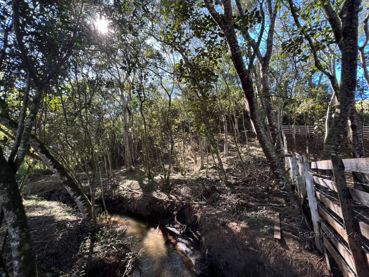 Chácara para venda em Dom Viçoso MG