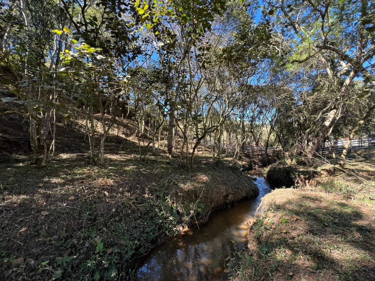 Chácara para venda em Dom Viçoso MG