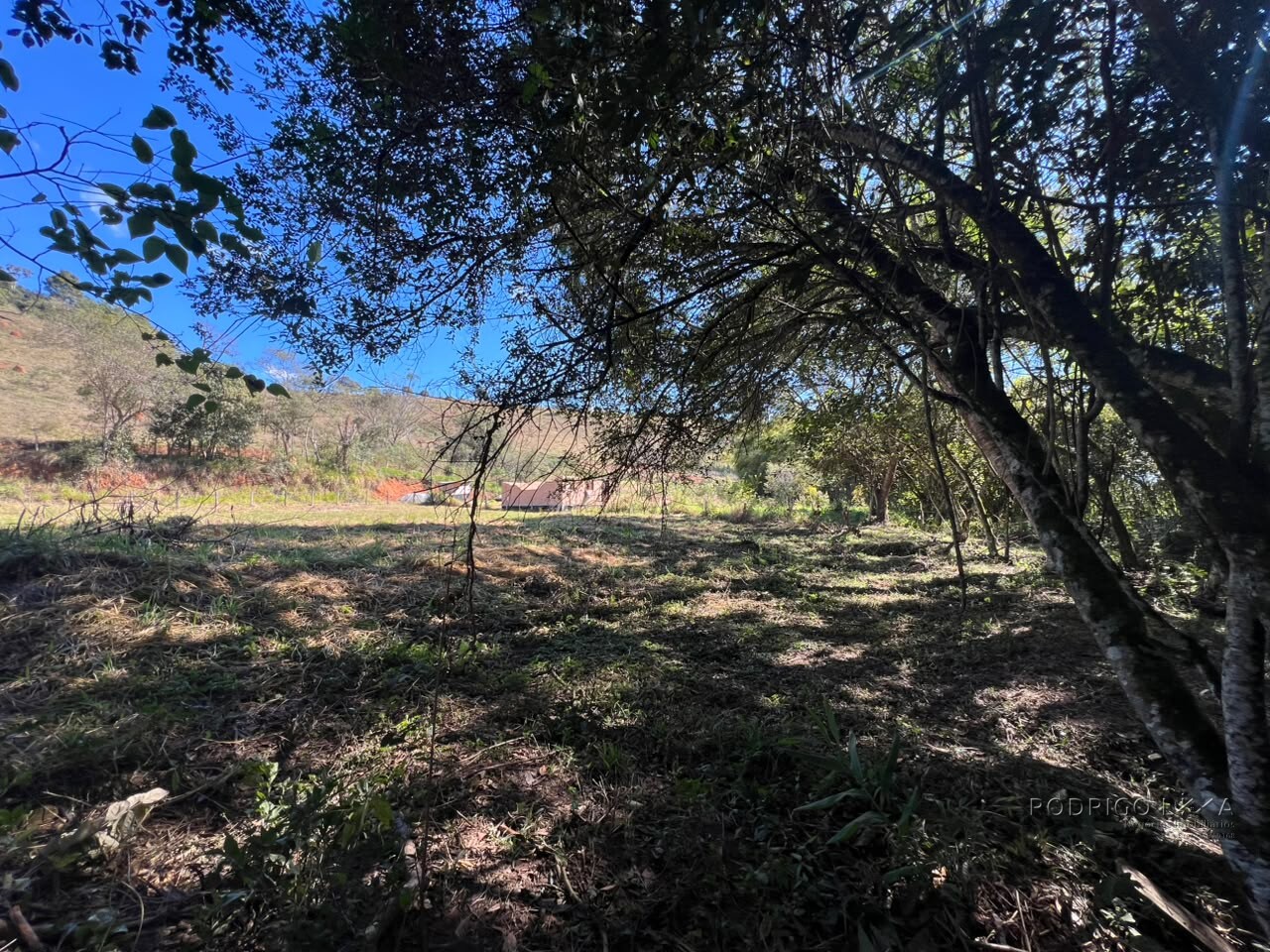 Chácara para venda em Dom Viçoso MG