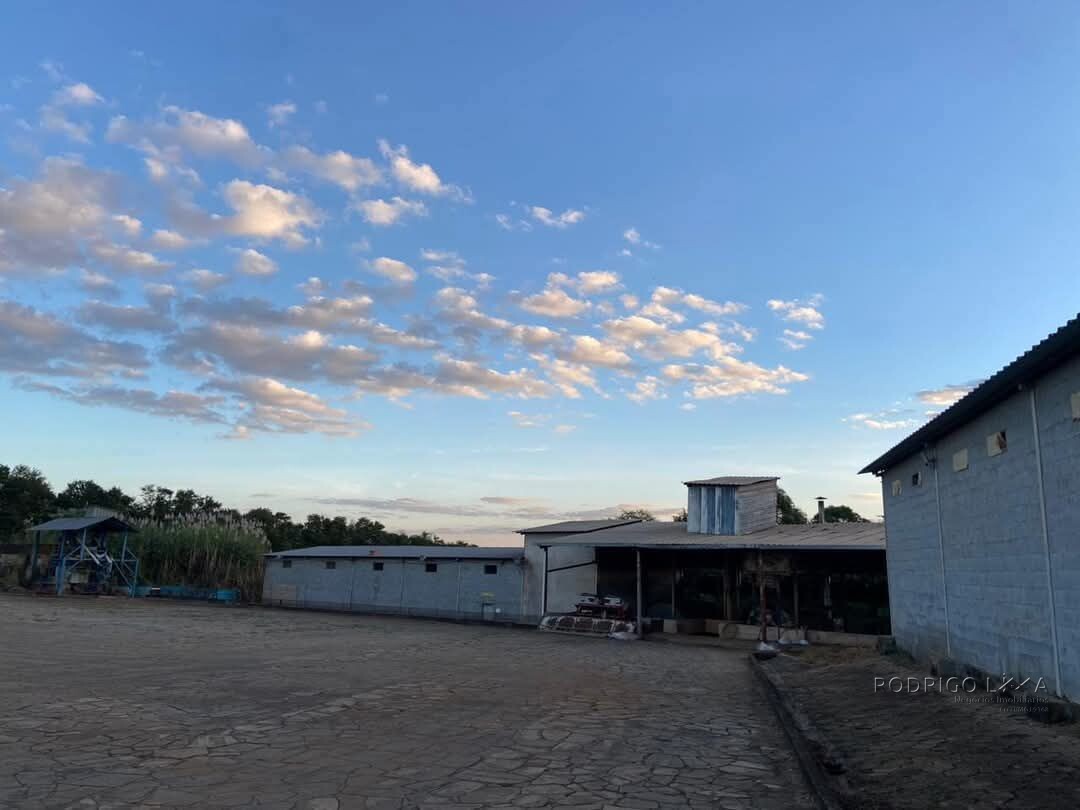 Linda fazenda para venda em Luminárias Mg