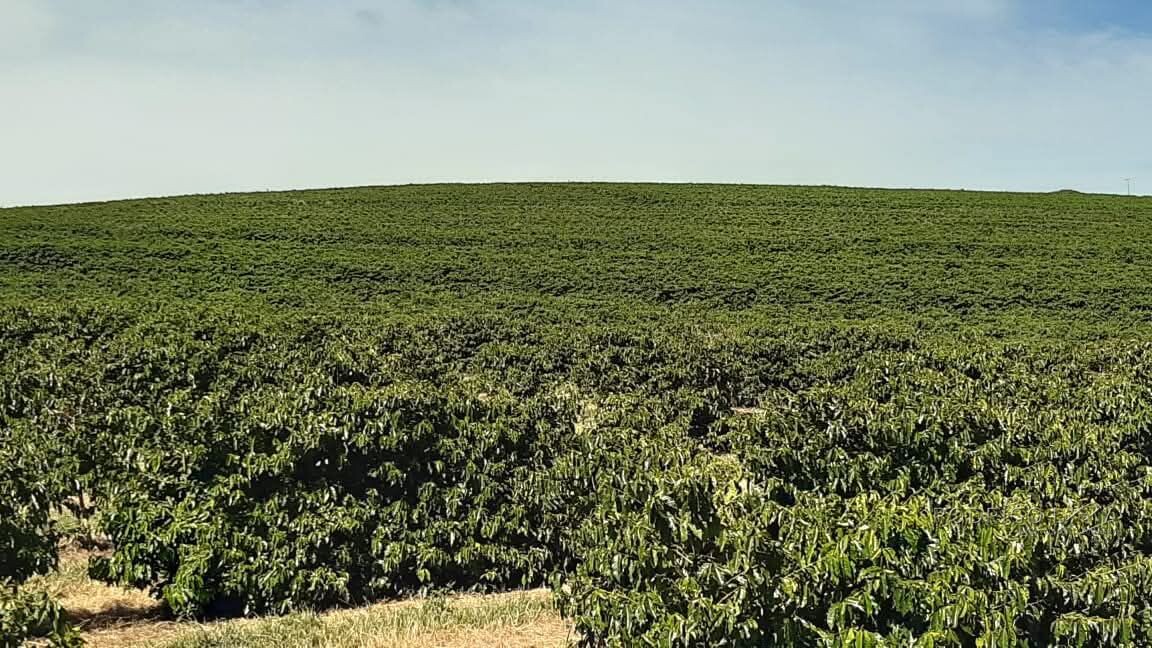 Linda fazenda para venda em Luminárias Mg