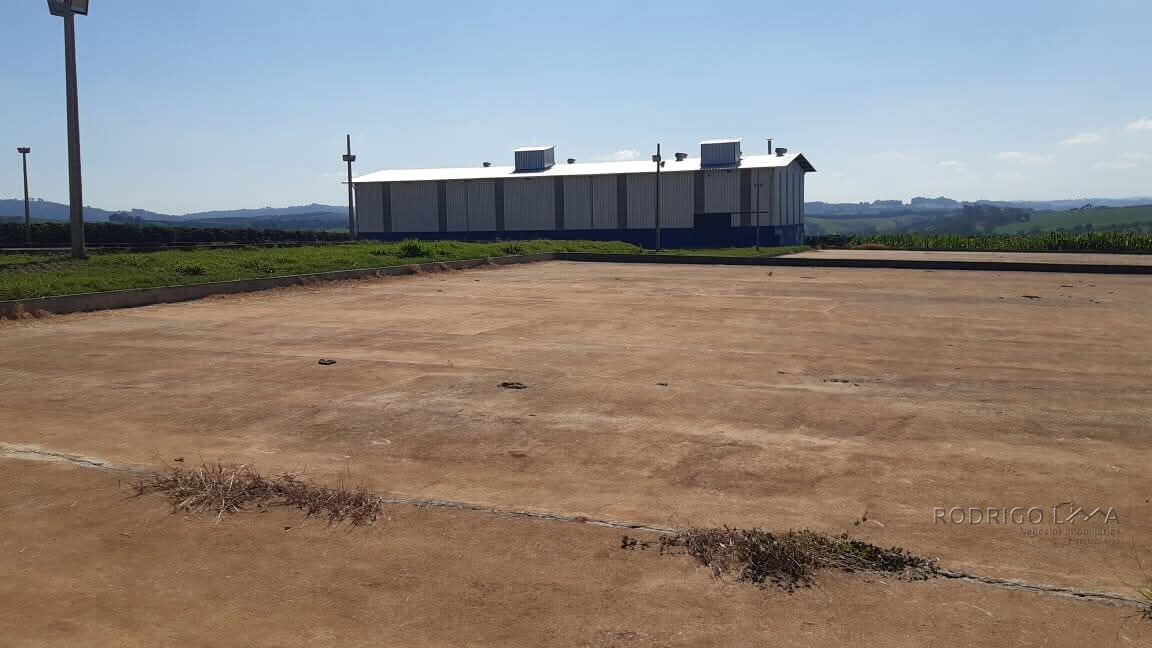 Linda fazenda para venda em Luminárias Mg