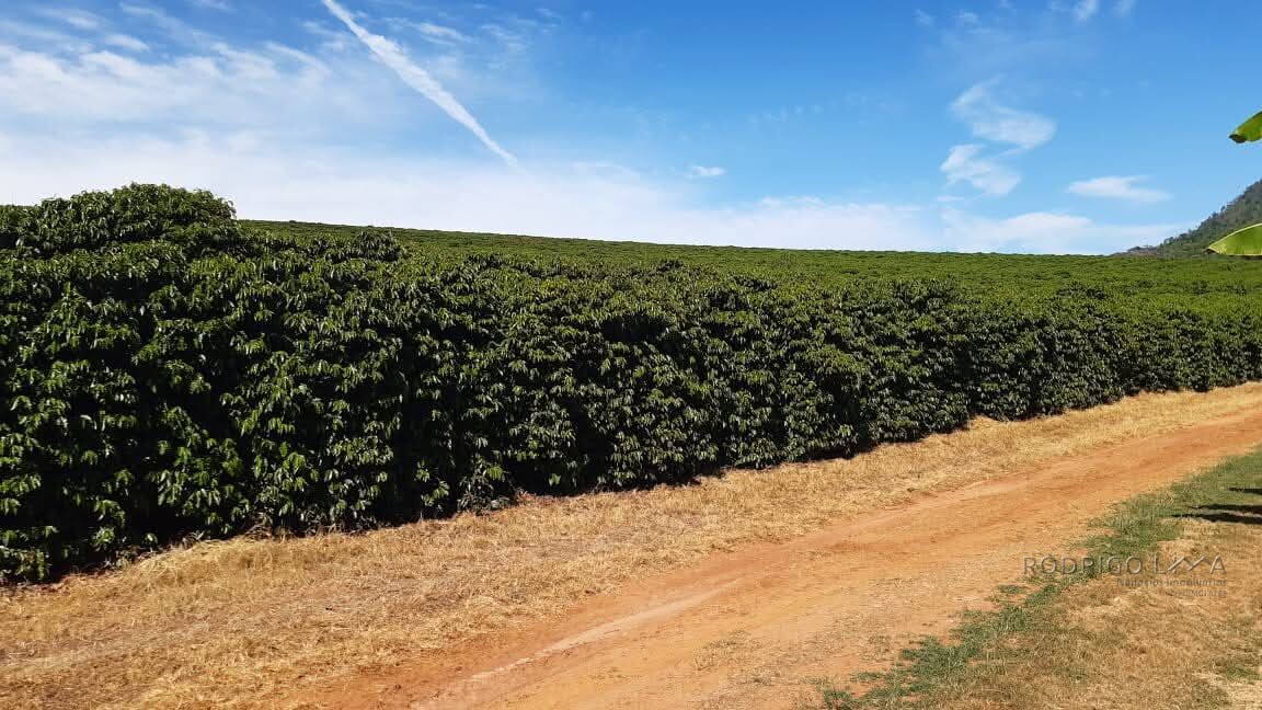 Linda fazenda para venda em Luminárias Mg