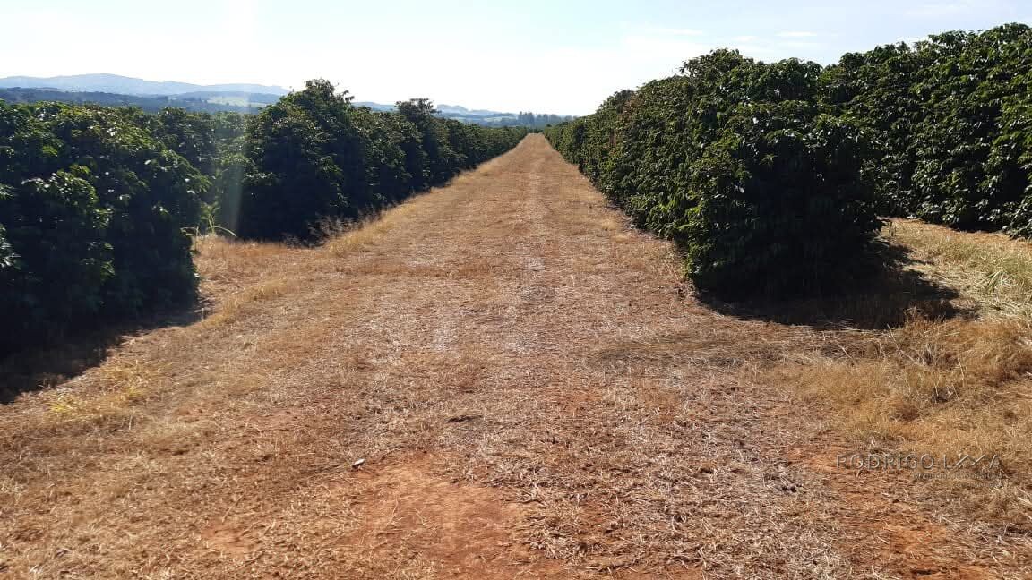 Linda fazenda para venda em Luminárias Mg