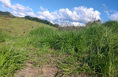 Lote para venda em São Lourenço MG