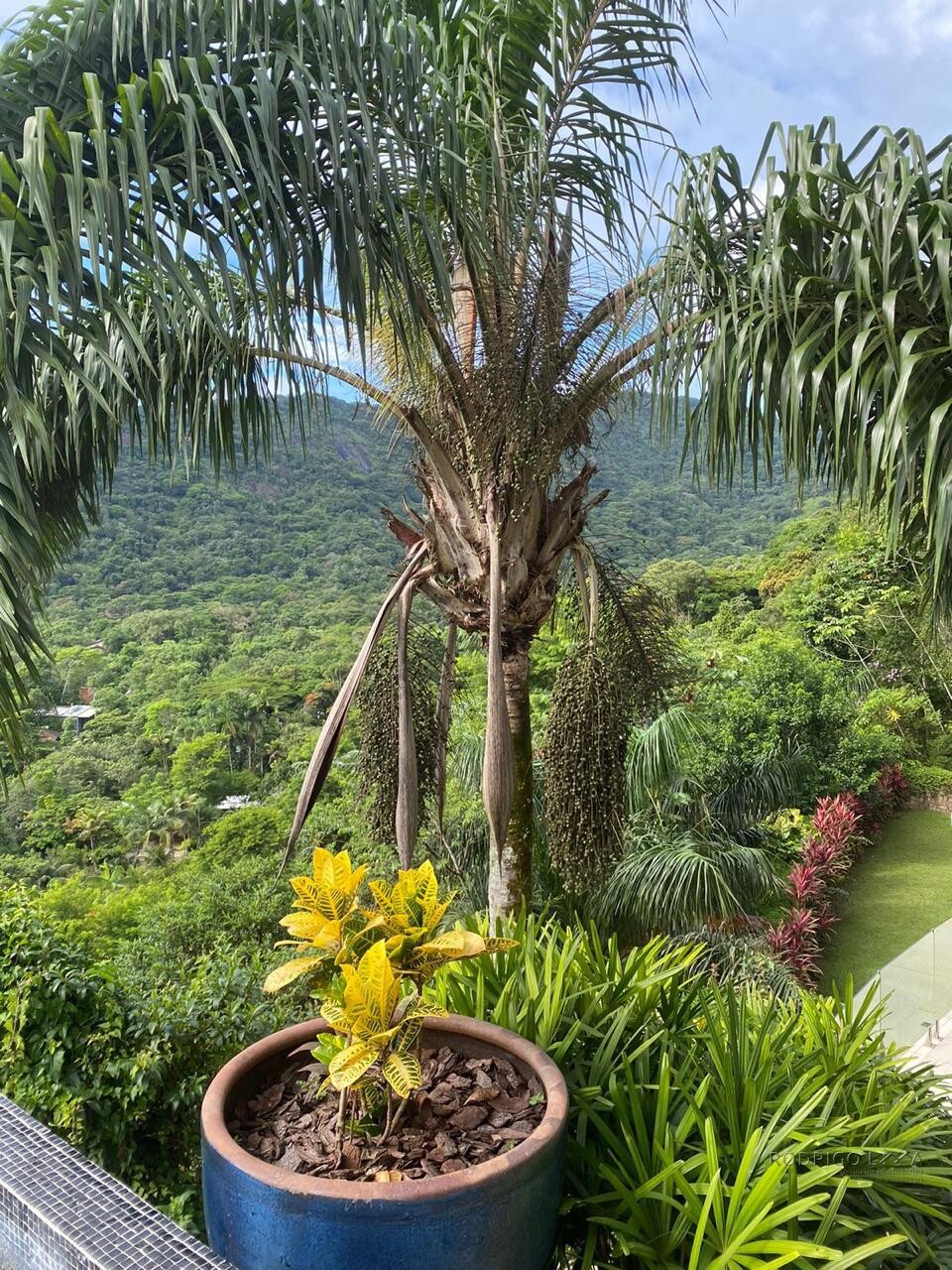 Luxuosa mansão para venda em Ubatuba SP.