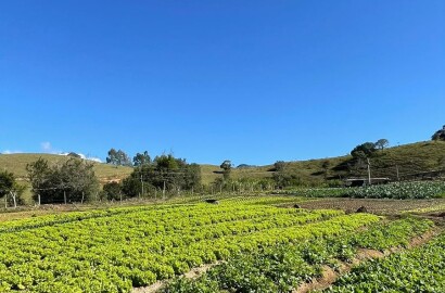 Sítio para venda em Dom Viçoso MG