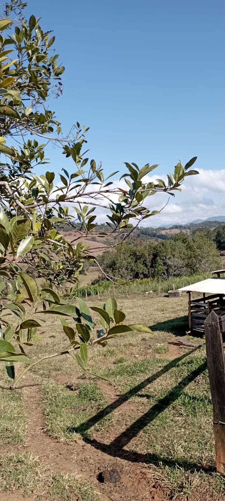 Sítio para venda em Dom Viçoso MG