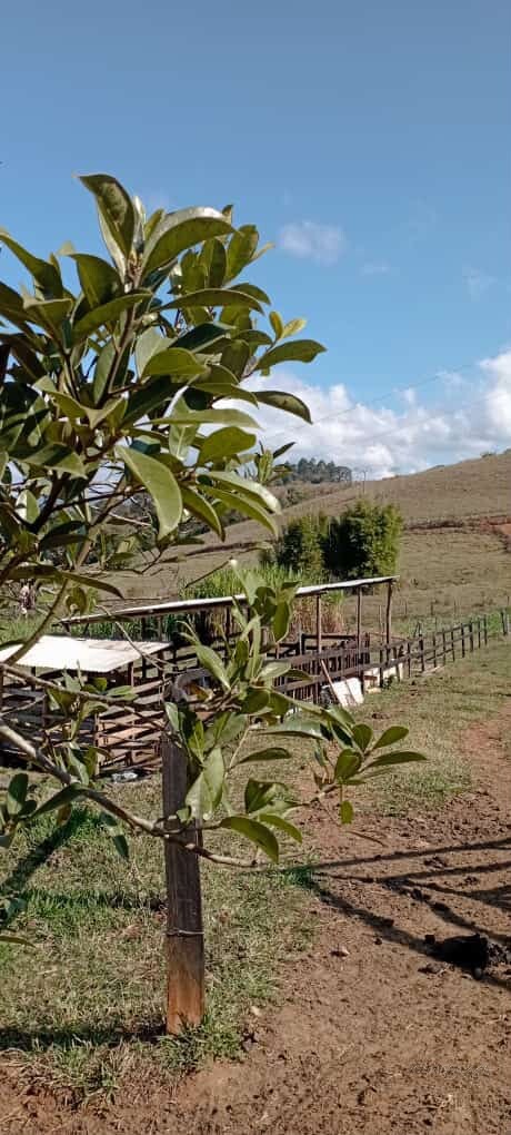 Sítio para venda em Dom Viçoso MG
