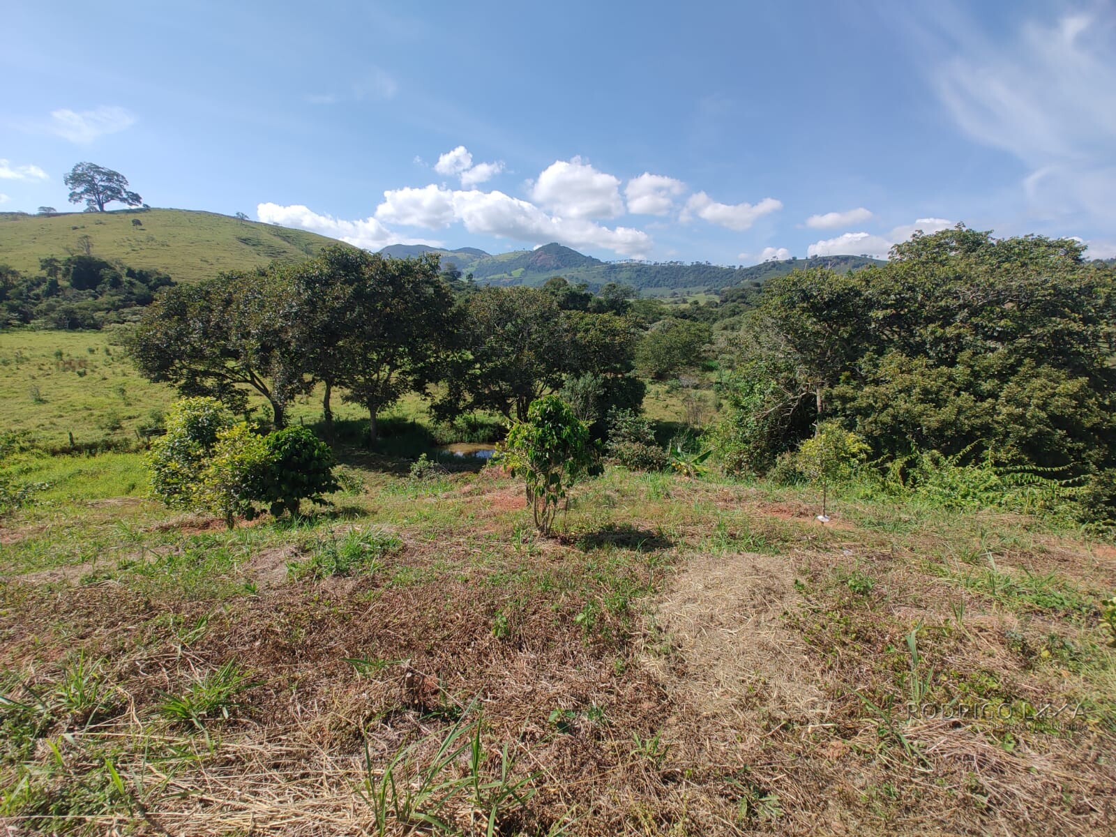 Sítio para venda em Olímpio Noronha mg