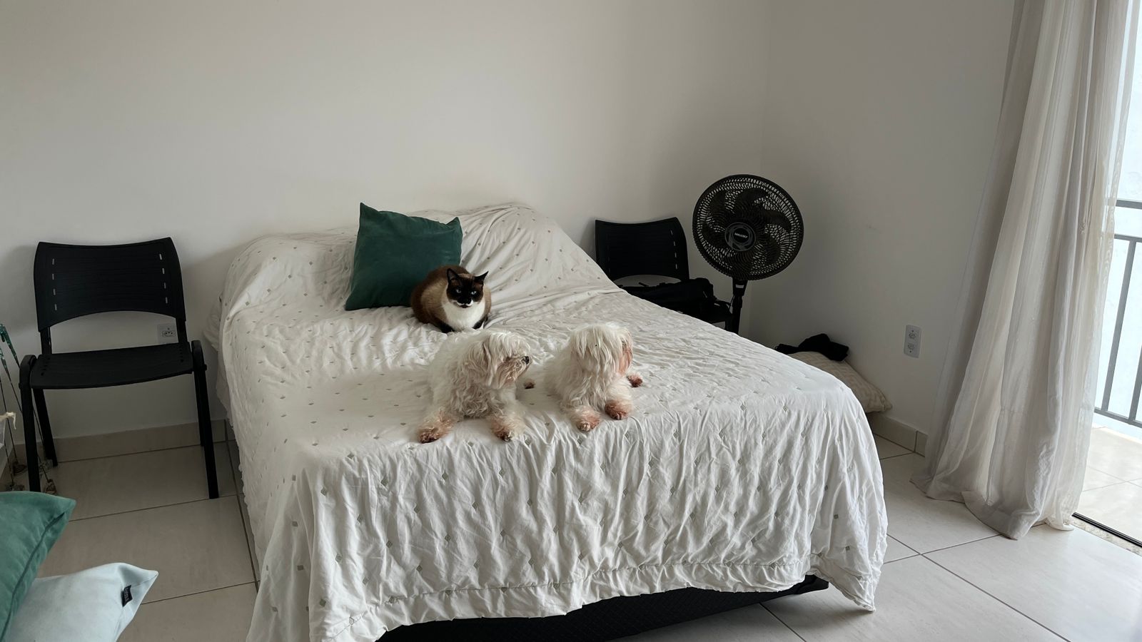 Casa para venda em São Lourenço Mg