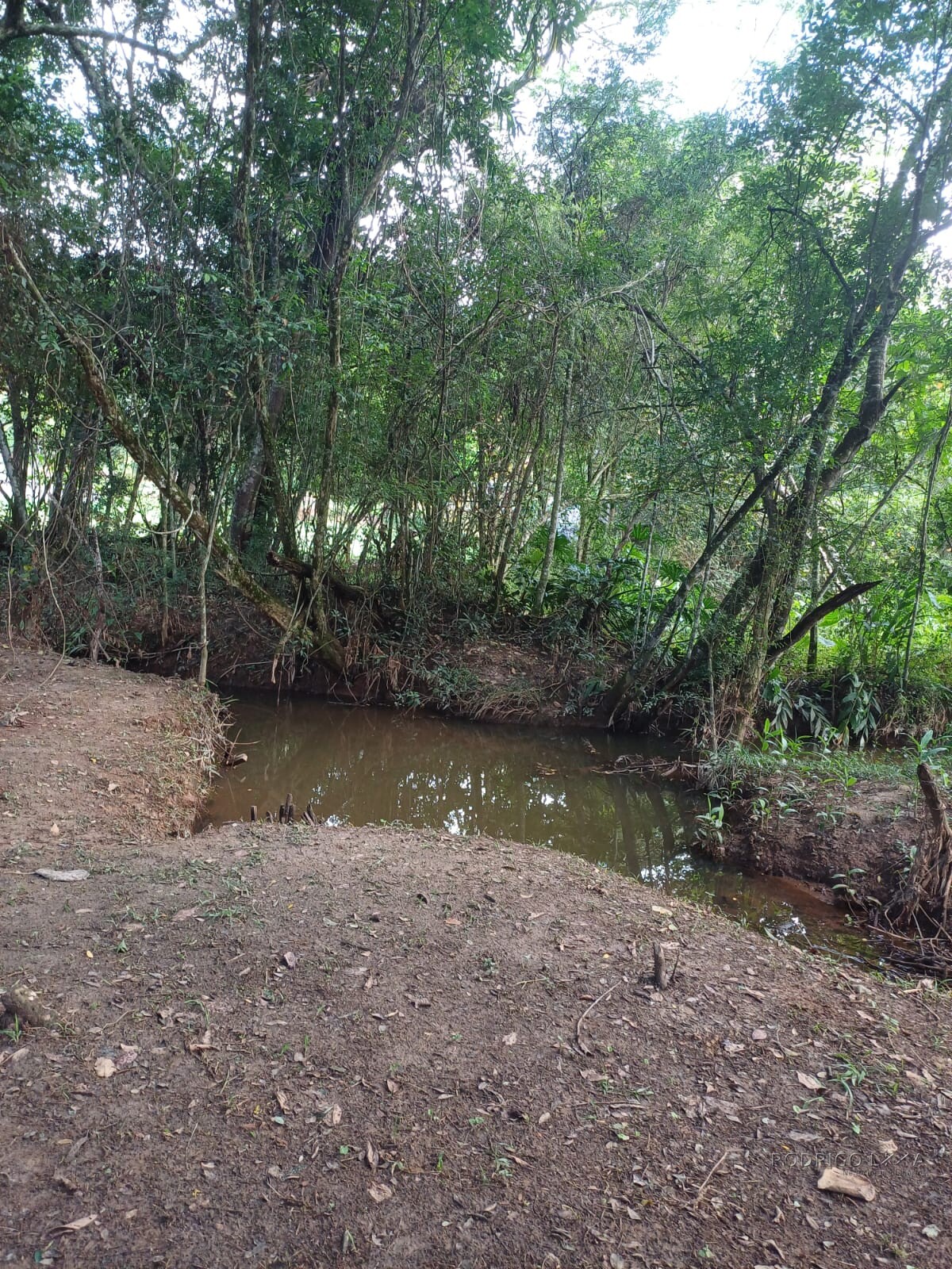 Chácara dos sonhos para venda próximo a São Lourenço MG
