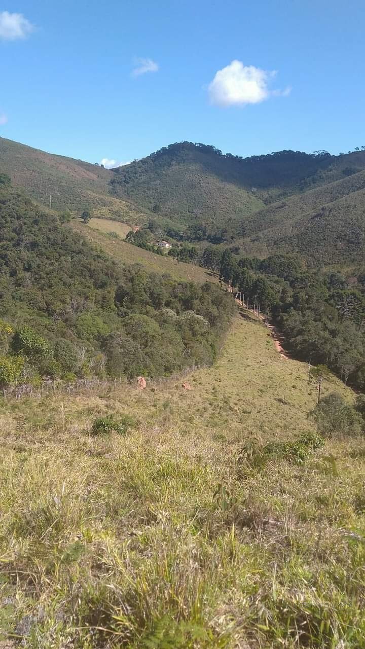 Sítio para venda em Carvalhos MG